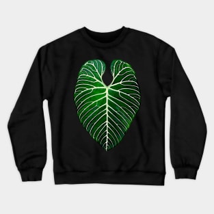 ANTHURIUM REGALE Crewneck Sweatshirt